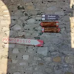 فيلة Pallastrelli *